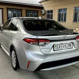 Toyota Corolla 2021
