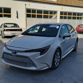 Toyota Corolla 2020