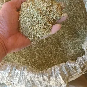 üwelen ýandak külke edilen