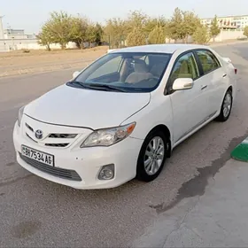 Toyota Corolla 2008