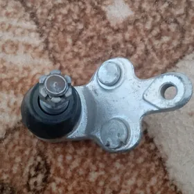 şarowoý babyçkaňky