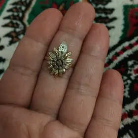 gyzyl yuzik brilliant gasly