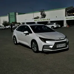 Toyota Corolla 2020