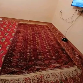 turkmen haly elde dokolan