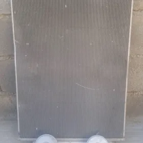 Haylander Radiýator