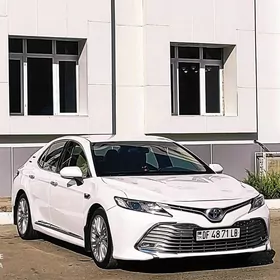 Toyota Camry 2019