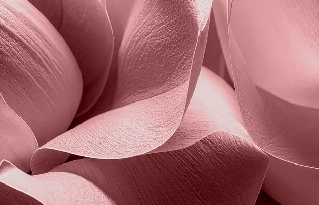 Pantone 2026-njy ýylyň ýaz–tomus möwsüminiň esasy reňk öwüşginlerini yglan etdi