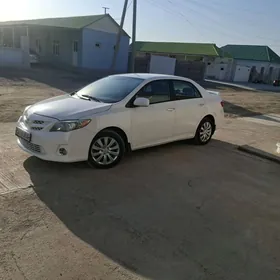 Toyota Corolla 2011