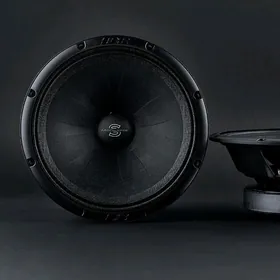 Apocalipse DB SYLVESTER AP M81