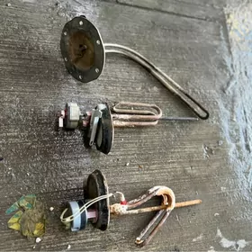 Ariston ten termistat