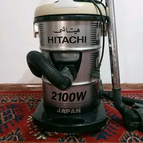 plesos palisos палисос плесос