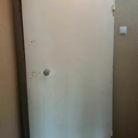 Дверь железная