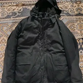 Galyn Kurtga, Koźa we ś.m