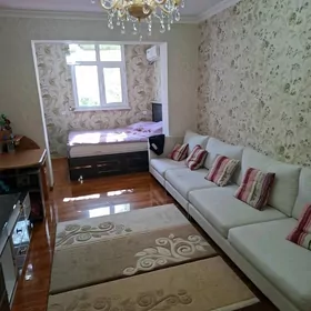 Ak altyn rayon mežlauka