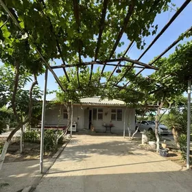 Anew 12 sotok 3 komn jay