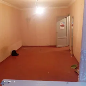 Бизмейин Гресс