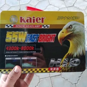 Ksenon kaier original