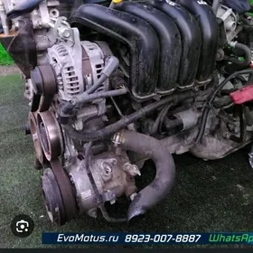 Karolla dual pauk 2012