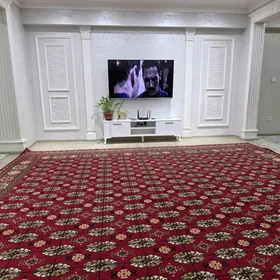 Arenda jay Gurtly Elitka