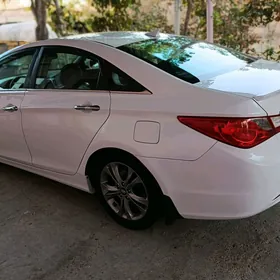 Hyundai Sonata 2010