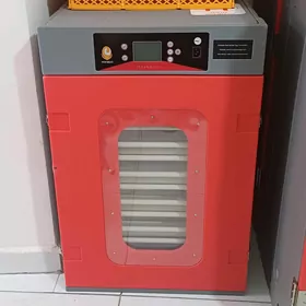 İnkubator Инкубатор