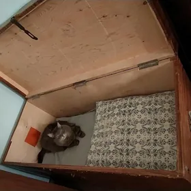 сундук деревянный ссср