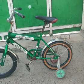 kici caga tigir gyssagly 16lyk