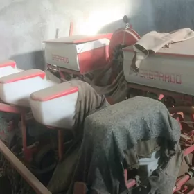 Pagta Däne ekji silka