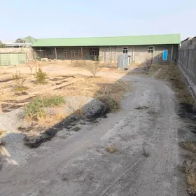 АННАУ МАГТЫМГУЛЫ ДОМ