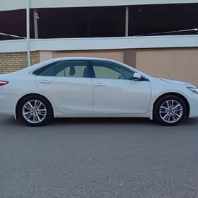 Aziýada granat çep tarap