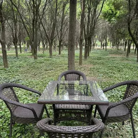 bag bakja Stol Stul Стол Стул