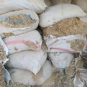 üwelen saman çaññalak