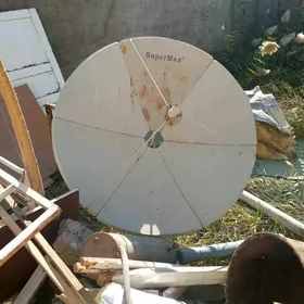 uly anten pastafka bile