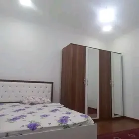 Satlyk Bagyr 10sotuk