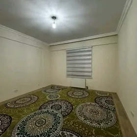 SATLYK JAY GURTLY 3 KOM