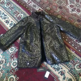 Iki taraplayyn şuba