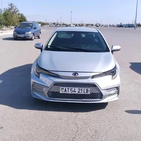 Toyota Corolla 2021