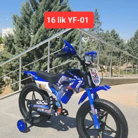 TIGIR MATOR MASYN PARTA KARŞOK