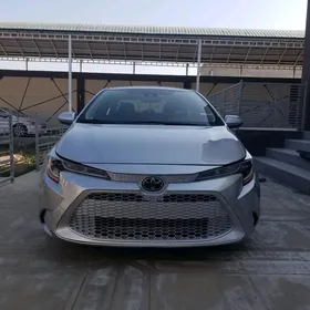 Toyota Corolla 2020