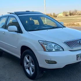 Lexus RX 330 2004