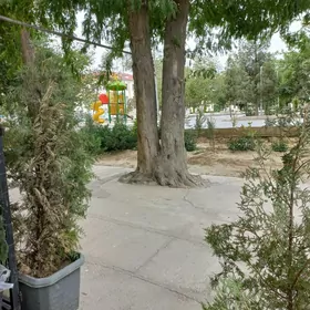 Satlyk Kwartal 1et/ 533квартал