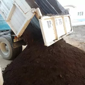 MITI SEMENT DERS CAGE GUM POLI