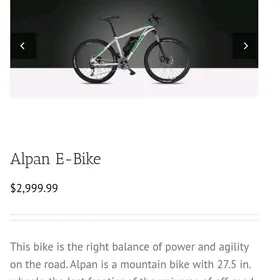 Benelli Alpina tokly tigir