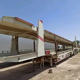 Prisep Polprisep 2024