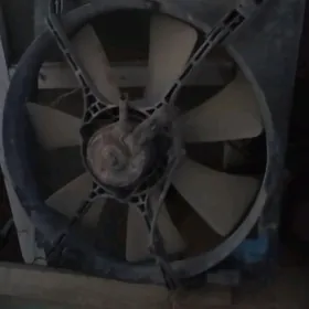 3 prastoy avalonynky