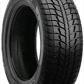 Teker pakryşka 1ýyl kredit