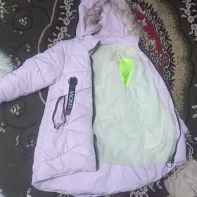 kurtkalar 1klas 8klas arzan