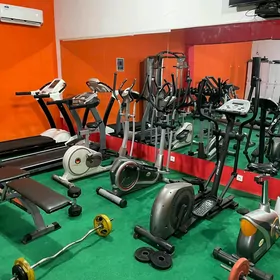 tayyn trenajor zal satlykda