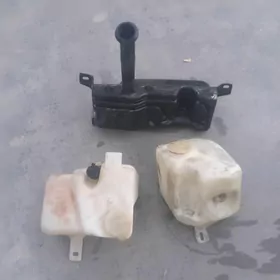 Suw baçok omega b wita wektra