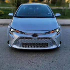 Toyota Corolla 2020